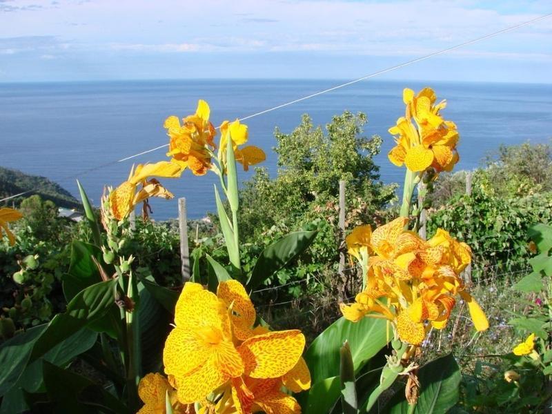בונאסולה Case Vacanza Reggimonti Cinque Terre מראה חיצוני תמונה