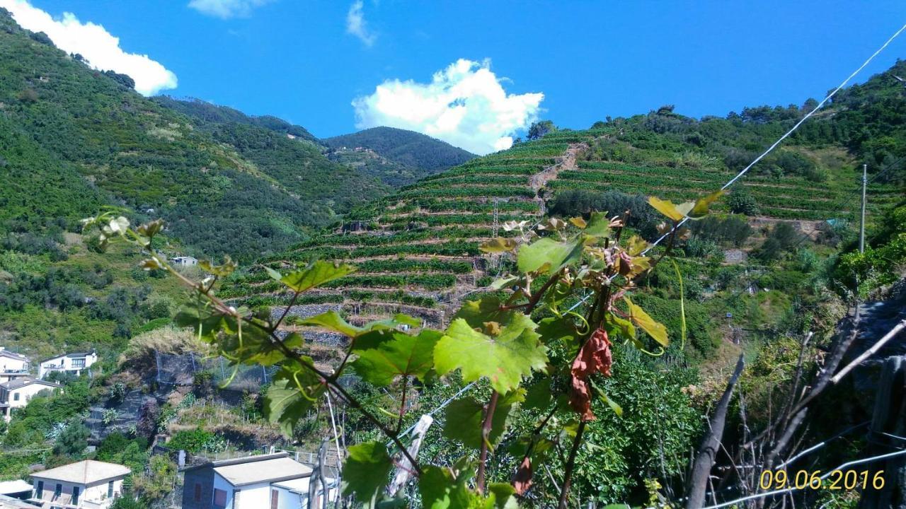 בונאסולה Case Vacanza Reggimonti Cinque Terre מראה חיצוני תמונה