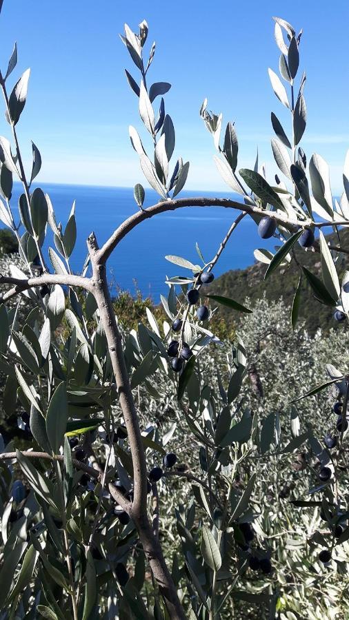 בונאסולה Case Vacanza Reggimonti Cinque Terre מראה חיצוני תמונה